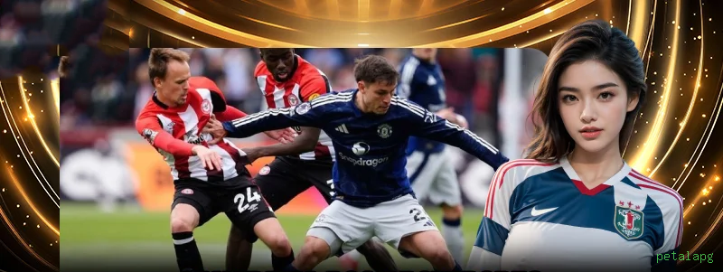 Imagem promocional do aplicativo mobile da petalapg